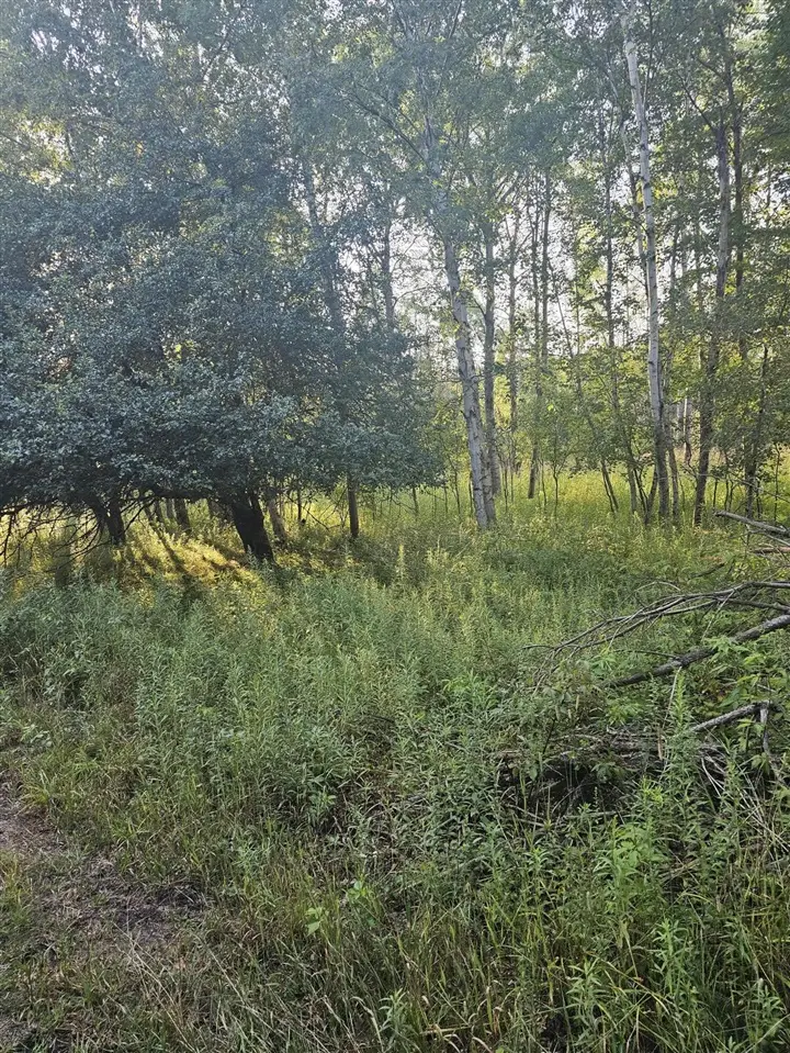 15410 Johnson, Kaleva, MI 49645 - Image #3