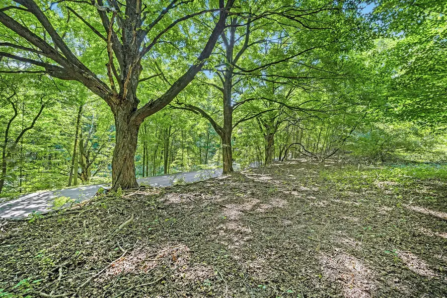 V/L 56th, Paw Paw, MI 49079 - Image #2