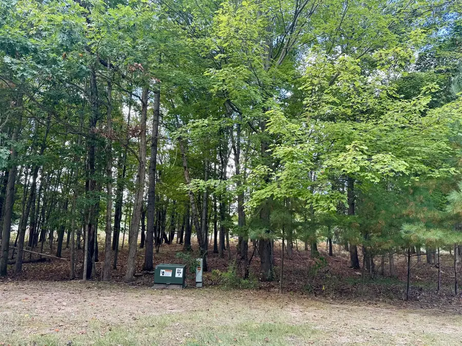 6485 Dunhill, Canadian Lakes, MI 49346 - Image #2