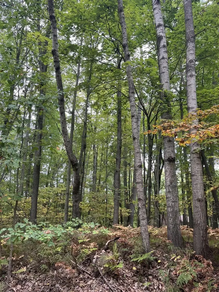 Lot 681 Elm, Farwell, MI 48622 - Image #1