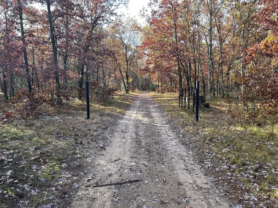 E County Line, Free Soil, MI 49411 - #2