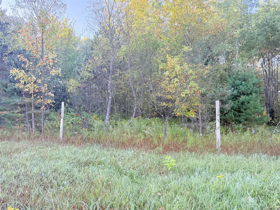 V/L E 38, Cadillac, MI 49601 - #2