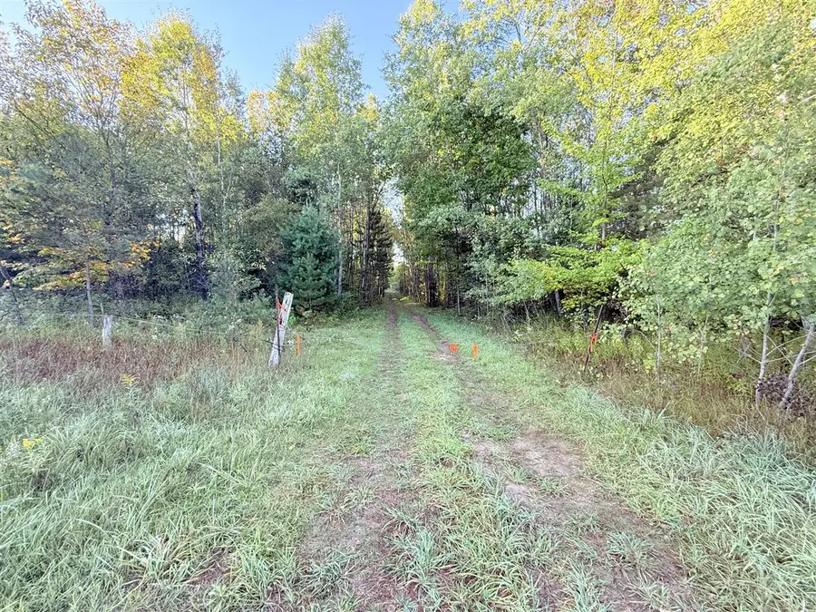 V/L E 38, Cadillac, MI 49601 - #3