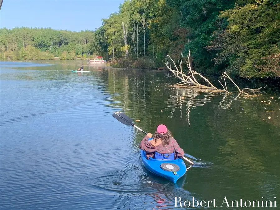 14111 Thompson, Lowell, MI 49331 - Image #3