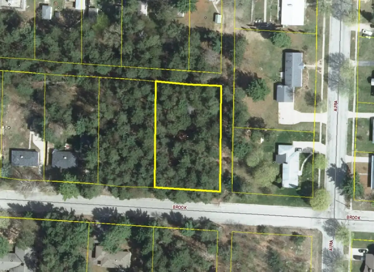 VL Brook, Kaleva, MI 49645 - Image #1