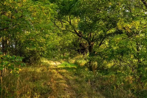 2681 Hadley, Lapeer, MI 48446