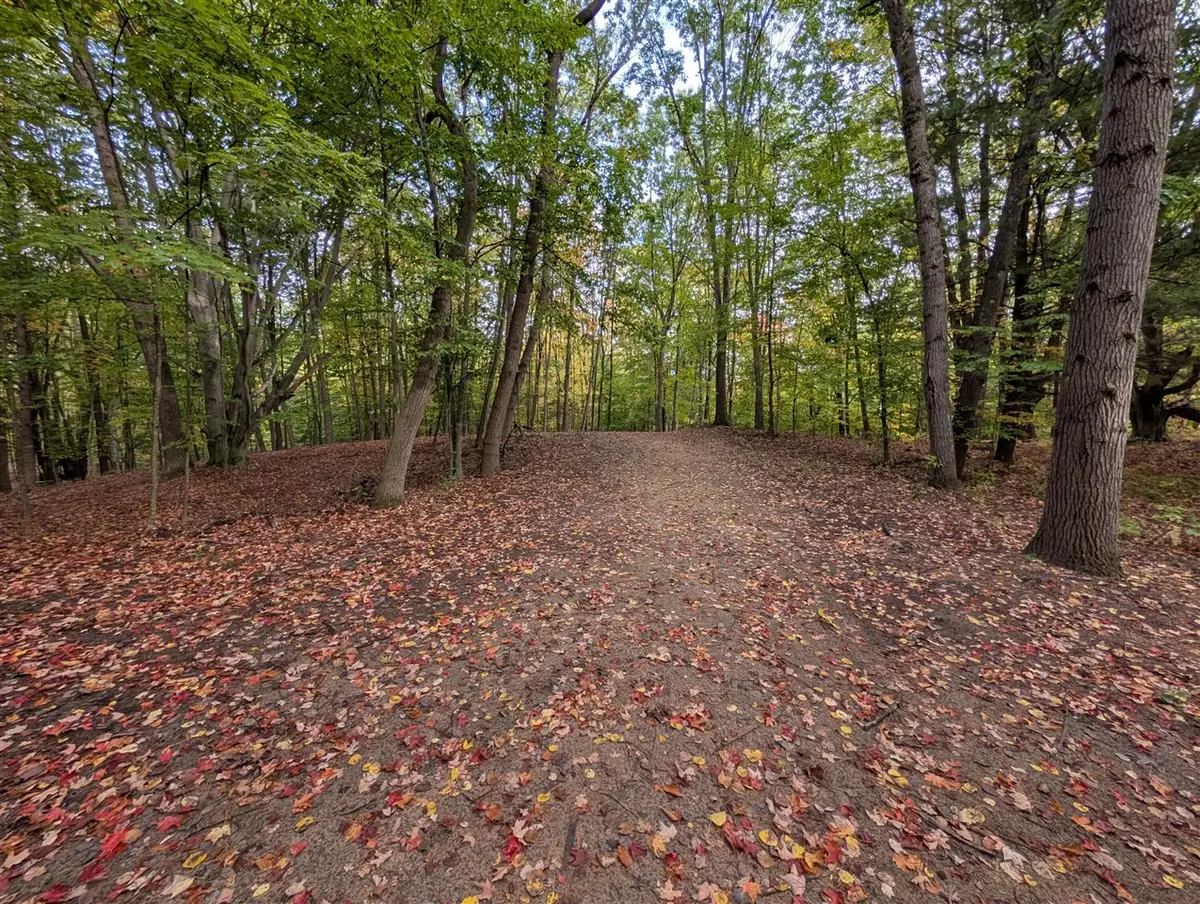 V/L E Kissing Oaks, Custer, MI 49405 - Image #1