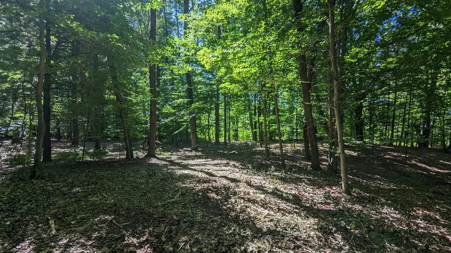 V/L E Kissing Oaks, Custer, MI 49405 - Image #3