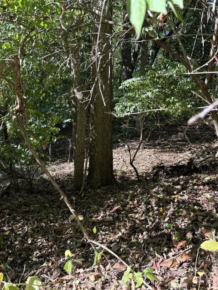 665 Shields, Kalamazoo, MI 49048 - #2