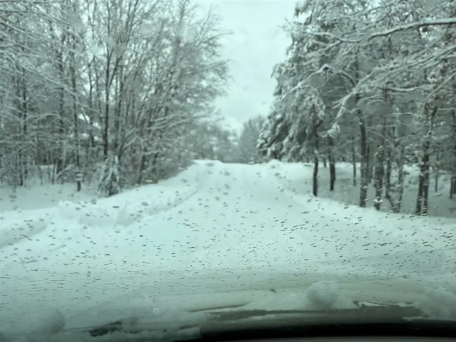 4530 Summit Forest, Rockford, MI 49341 - Image #2