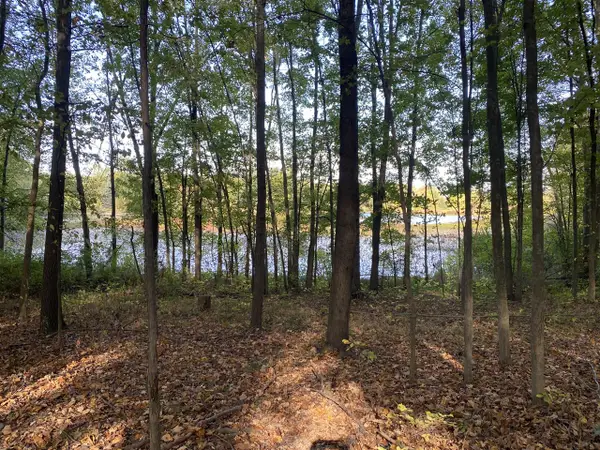 9540 Vincent, Alto, MI 49302