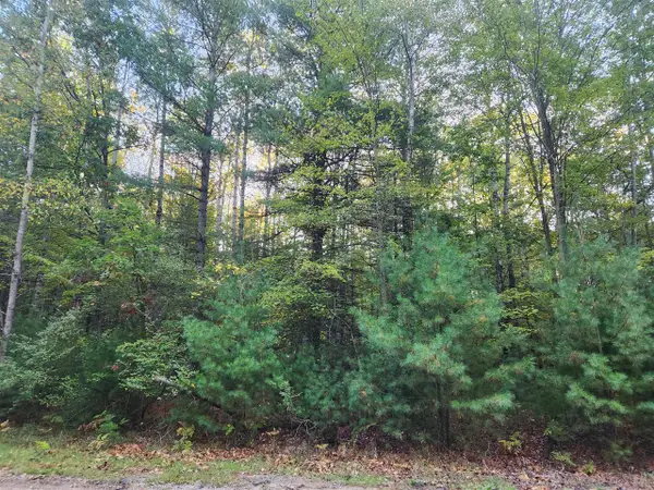 6842 White Pine, Stanwood, MI 49346