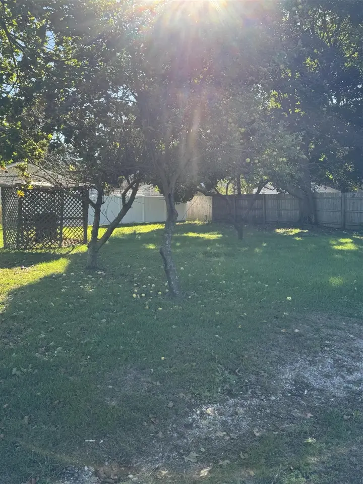 812 N 4th, Greenville, MI 48838 - Image #3