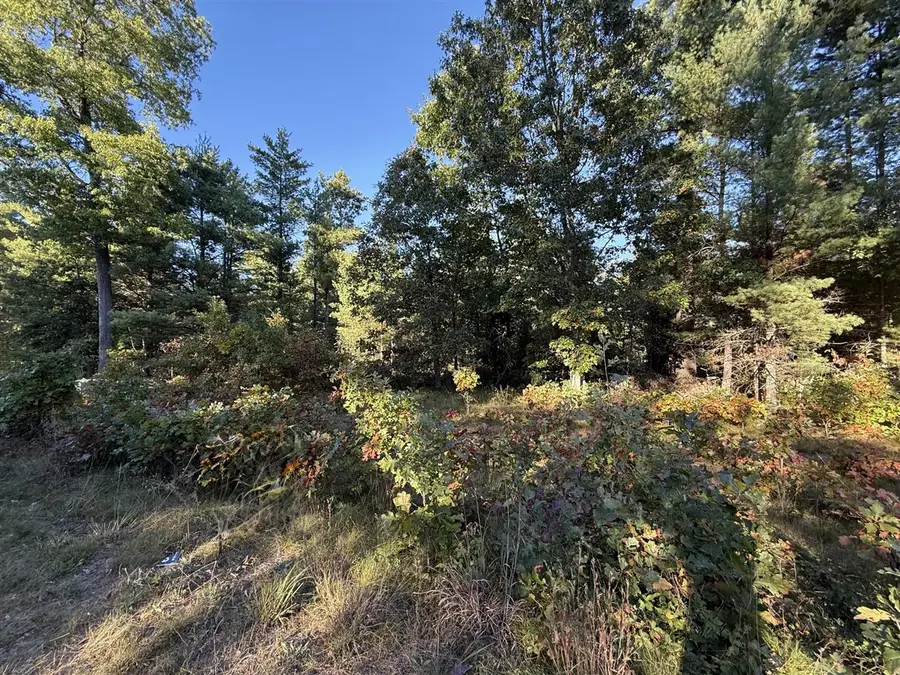 1242 Sydney, Whitehall, MI 49461 - Image #3