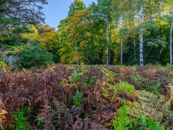 Lot 1 E 22 Mile Rd, Pickford, MI 49774