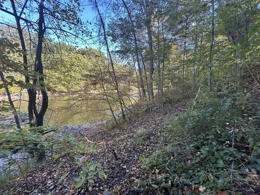 8027 Thornapple River, Caledonia, MI 49316 - Image #2