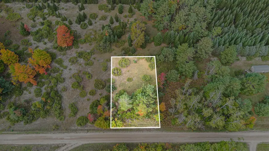 V/L Trout Creek, Cheboygan, MI 49721 - #2