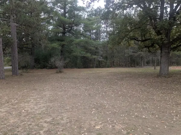 13798 Graf, Brethren, MI 49619