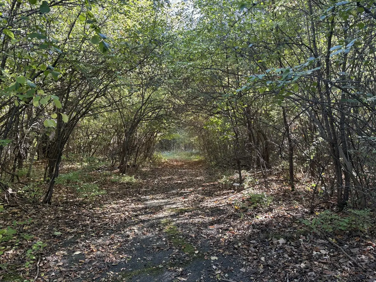 VL 69 Clinton, Jackson, MI 49201 - Image #1