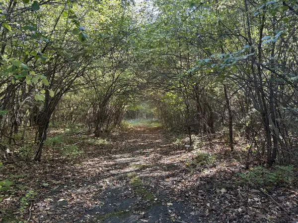 VL 69 Clinton, Jackson, MI 49201