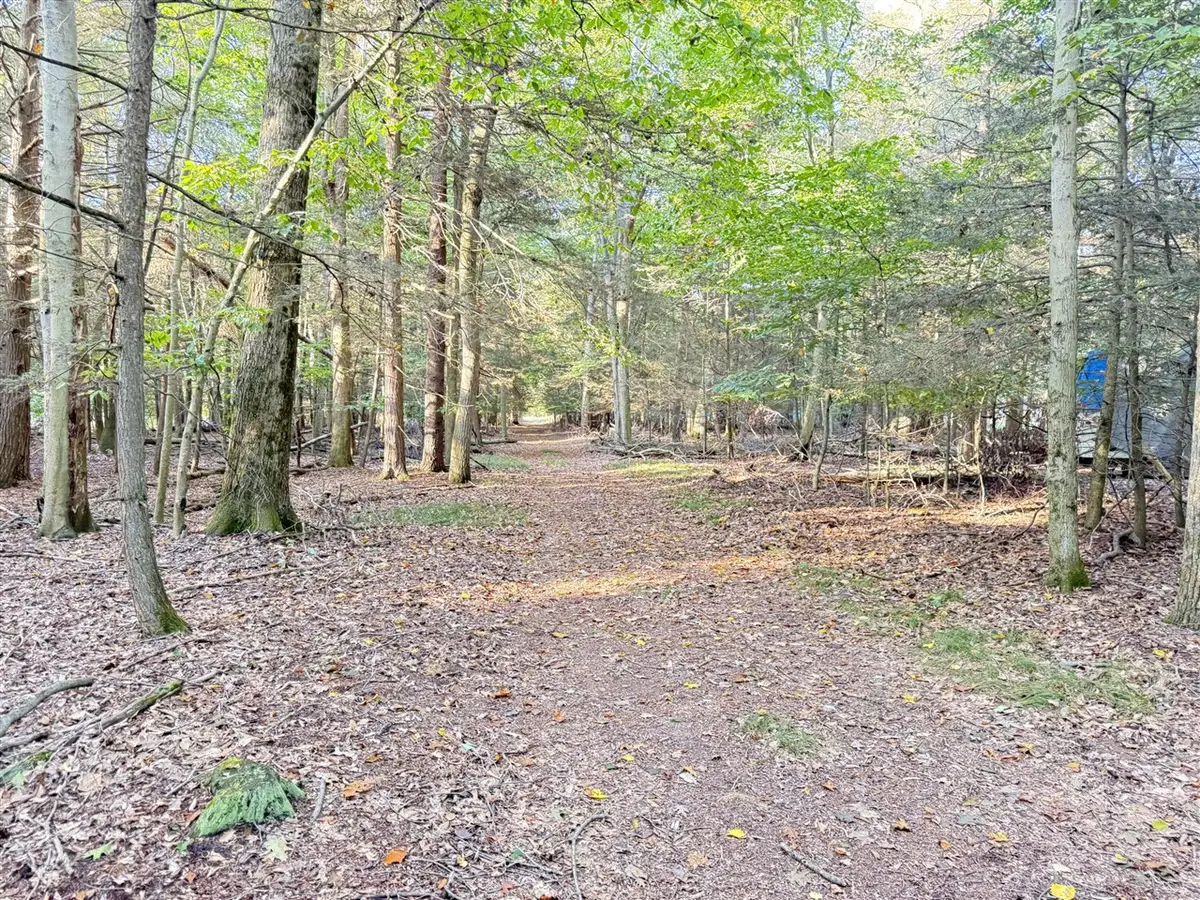 8367 W Stony Lake, New Era, MI 49446 - Image #1