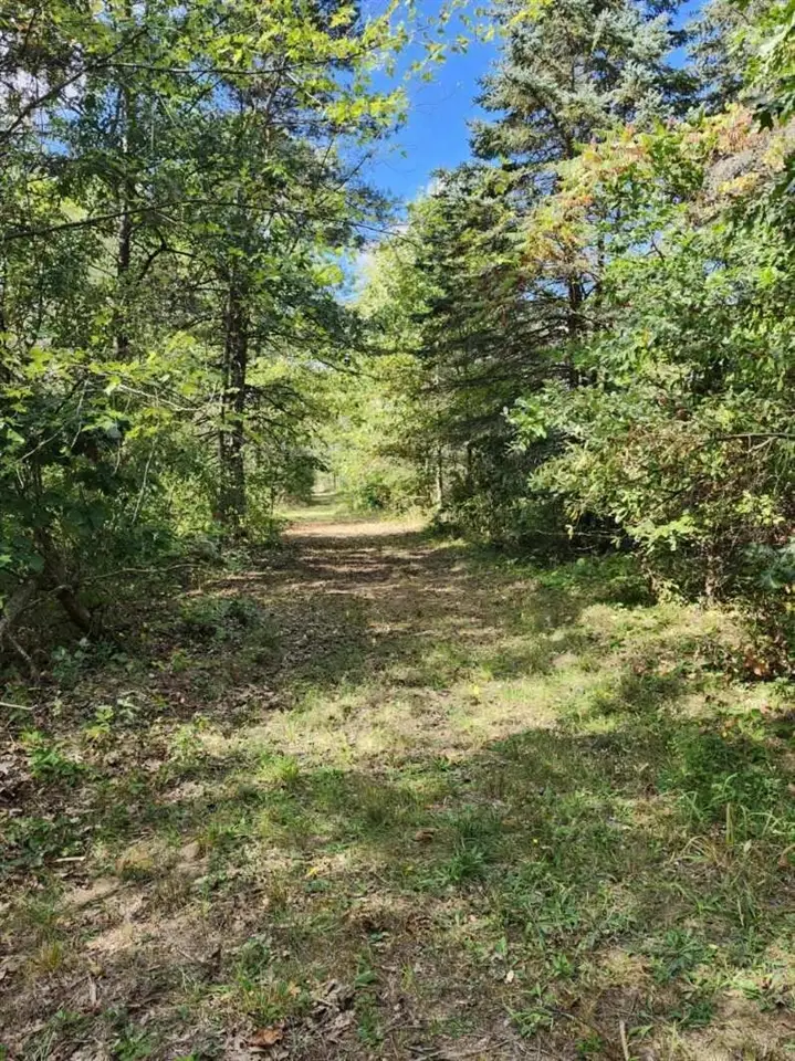 2963 Mackenzie, Hamilton, MI 49419 - Image #2