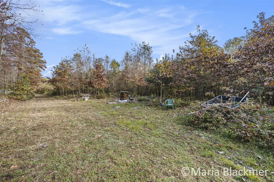 E Charles, Ionia, MI 48846 - #2