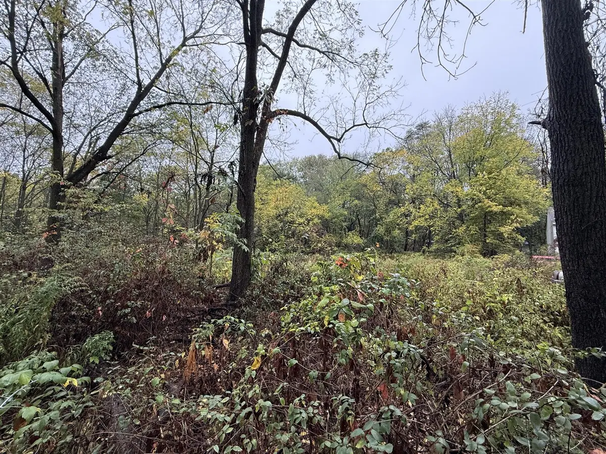 771 N Main, Plainwell, MI 49080 - #1