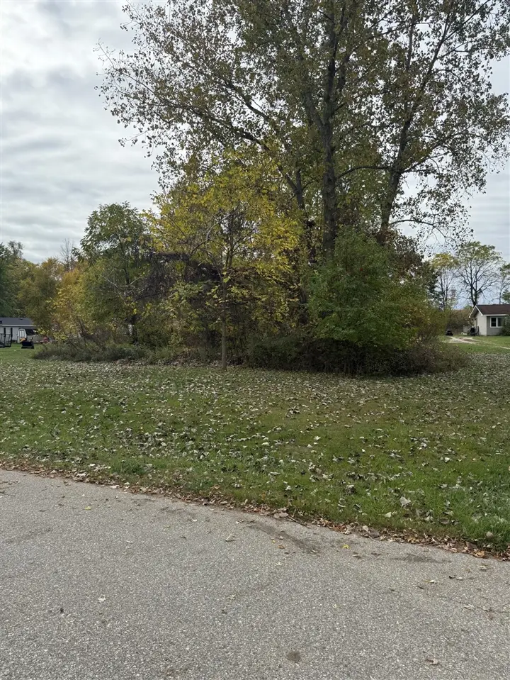 771 W Shore, Stanton, MI 48888 - Image #2