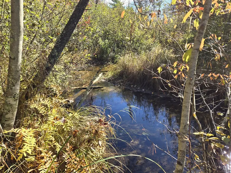 00 W Coolidge, Bitely, MI 49309 - #3