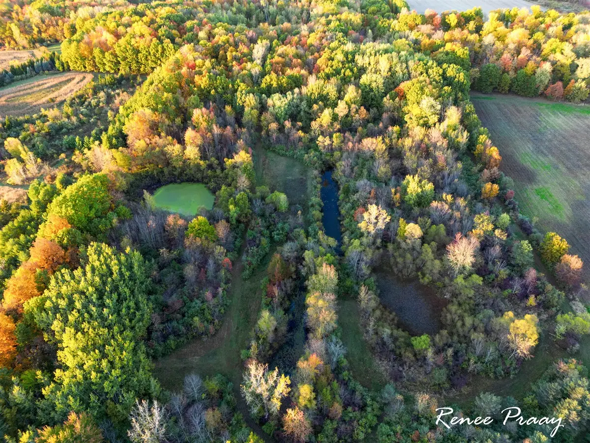 1665 116th, Otsego, MI 49078 - Image #1