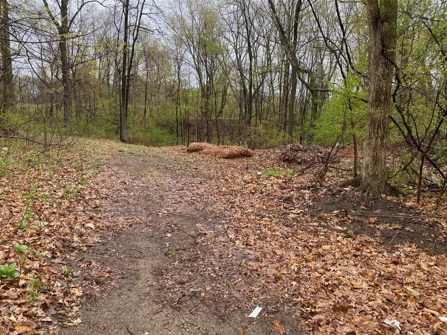 4546 W Dickman, Springfield, MI 49037 - #3