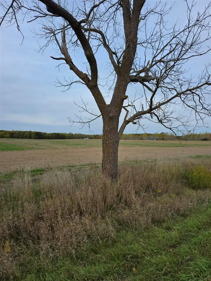 Parcel 2 Alward, Laingsburg, MI 48848 - Image #2