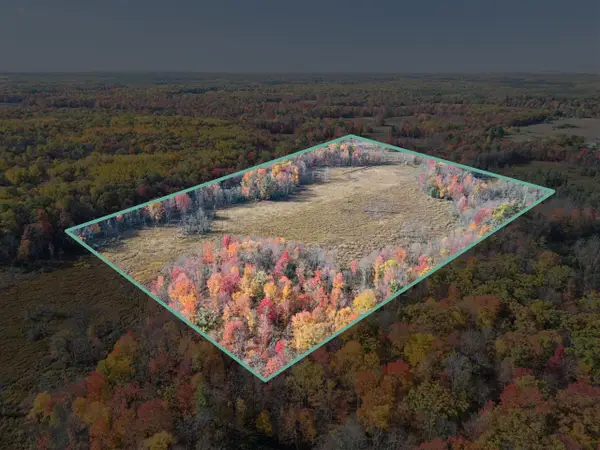 N Centerline, White Cloud, MI 49349