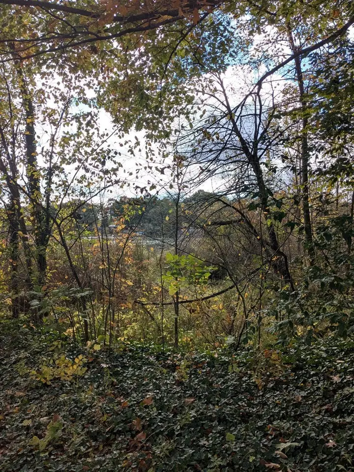 66991 Winding River, Constantine, MI 49042 - Image #2