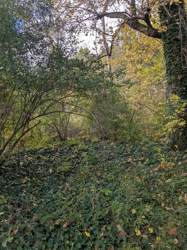 66991 Winding River, Constantine, MI 49042 - Image #3