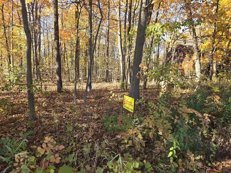 9160 Kingsley, Onsted, MI 49265 - #3