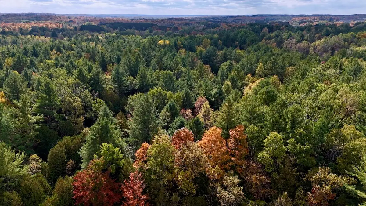 21400 20 Mile, Tustin, MI 49688 - #1