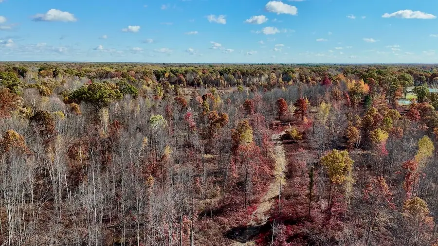 W Beamish, Coleman, MI 48618 - Image #3