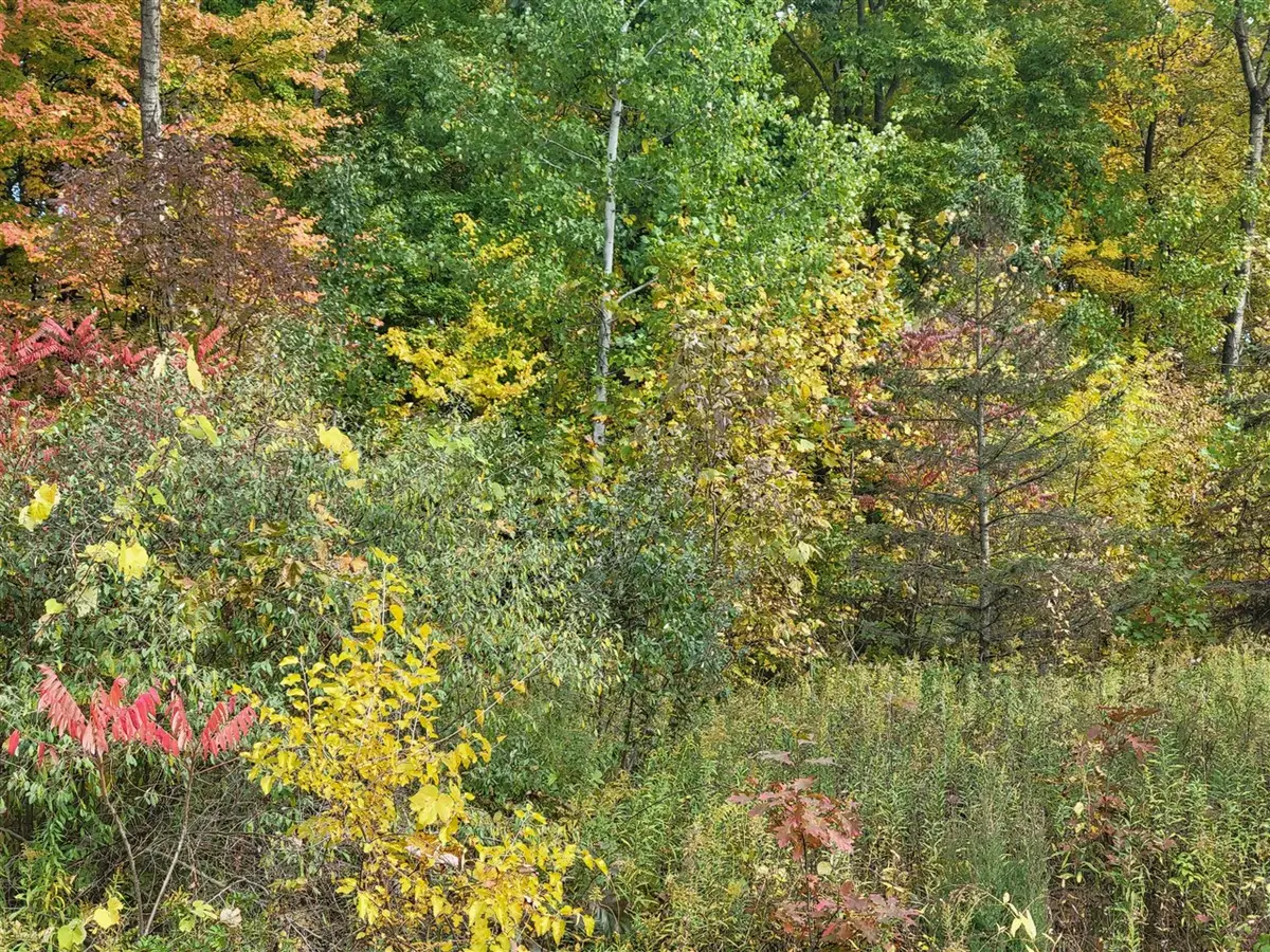 74066 Ridgeway, Lawton, MI 49065 - Image #1