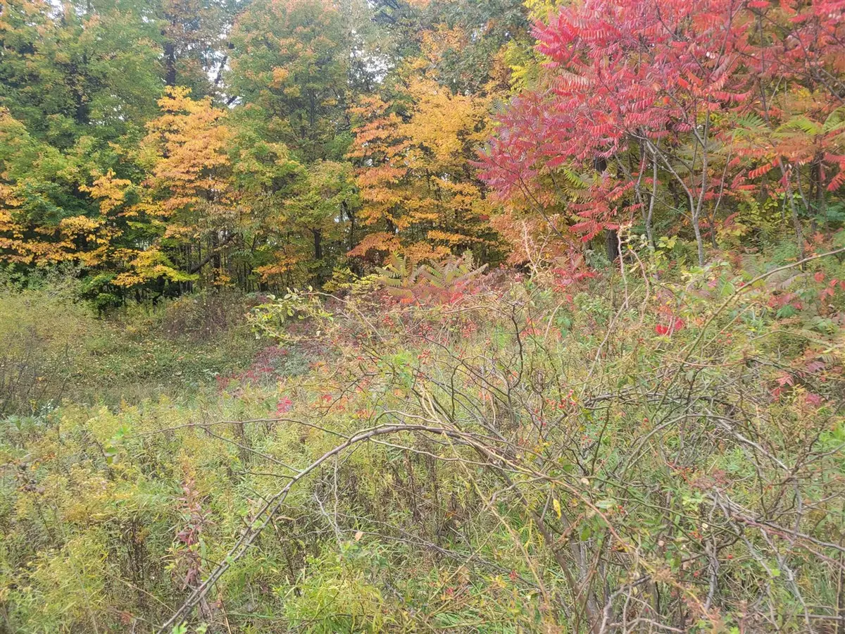 74032 Ridgeway, Lawton, MI 49065 - Image #1