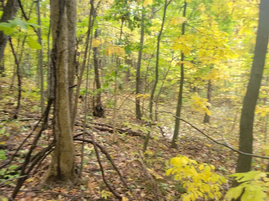 74032 Ridgeway, Lawton, MI 49065 - Image #2