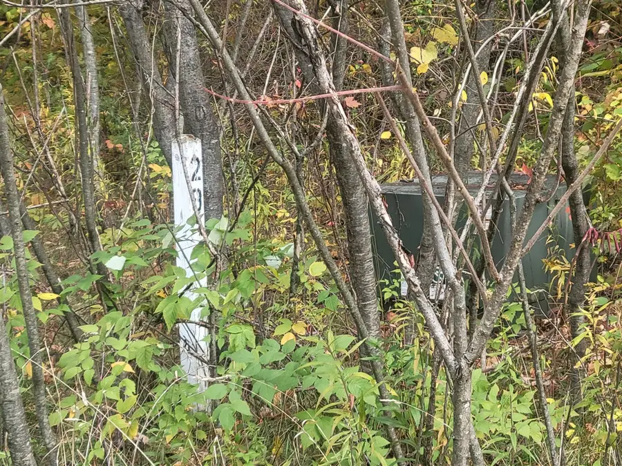 74032 Ridgeway, Lawton, MI 49065 - Image #3