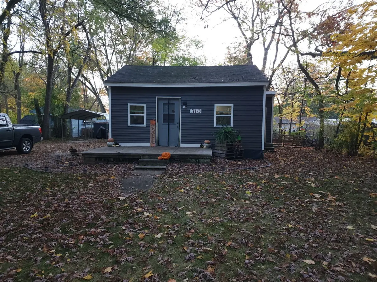 310 Lincoln, Allegan, MI 49010 - #1