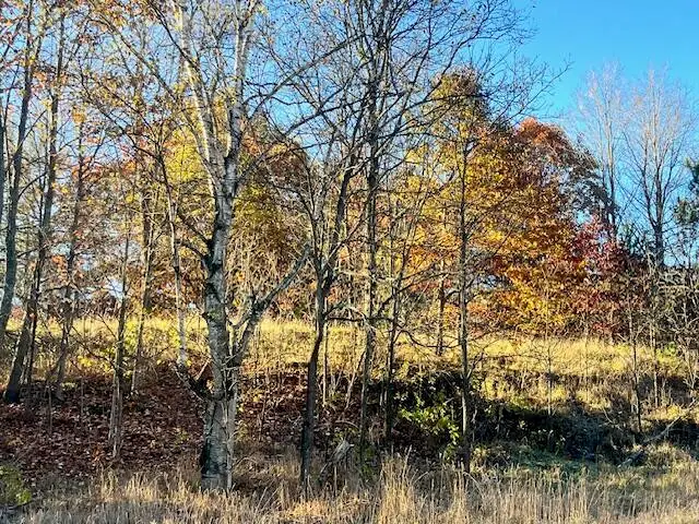 9955 Wiitala, Copemish, MI 49625 - #1