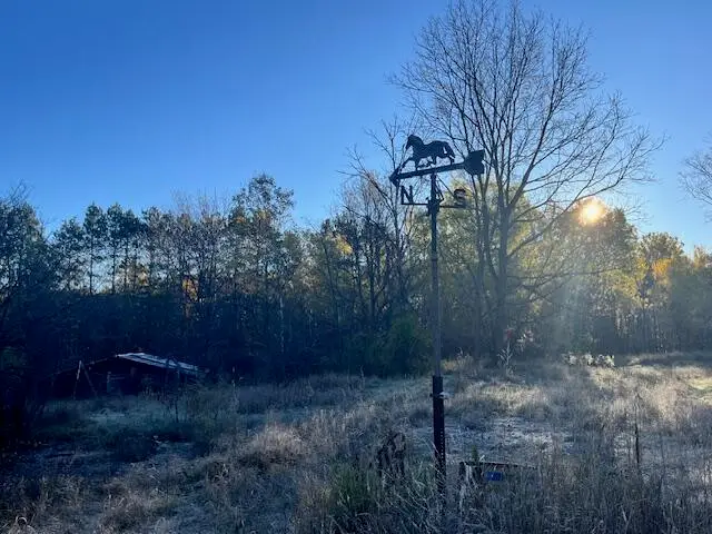 9955 Wiitala, Copemish, MI 49625 - #3