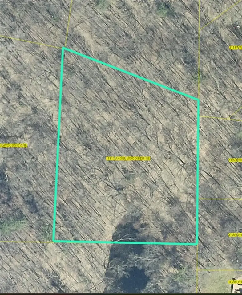 11311 Angel Woods, Rockford, MI 49341 - #2