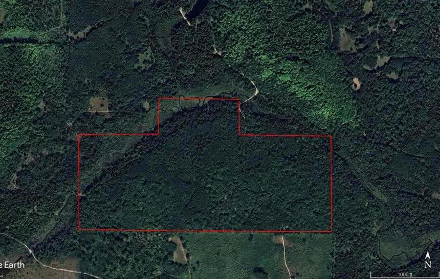 22006 Bowden Trail, Hillman, MI 49746 - #2