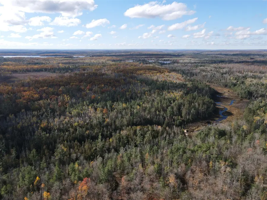 22006 Bowden Trail, Hillman, MI 49746 - #3