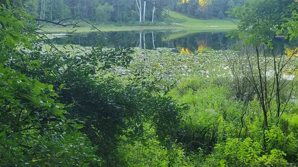 44702 56th, Paw Paw, MI 49079